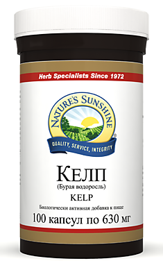 Келп (Бурая водоросль)