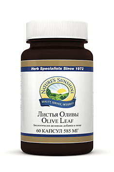 Листья оливы